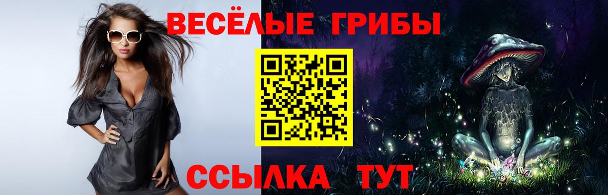 Псилоцибиновые грибы Psilocybe  Вход с VPN  Красноармейск 